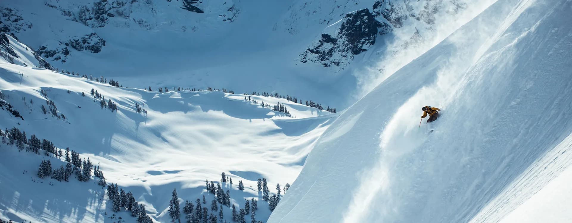 A lone skier descends a vast, sunlit powder bowl at Snowbird, dwarfed by sweeping snowfields and scattered evergreens in the backcountry below rocky ridgelines.